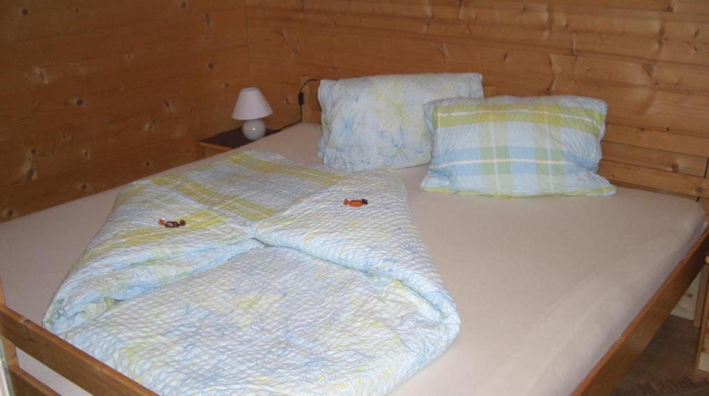 Appartement Leirer Alpbach Pokoj fotografie
