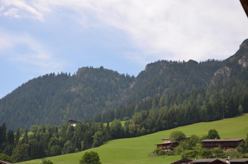 Appartement Leirer Alpbach Pokoj fotografie